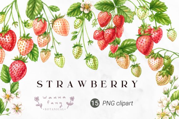 Download Strawberry Fruit Watercolor Clipart, PNG - Fruit Collection