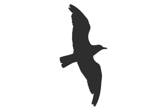 Download Flying Bird Black Silhouette. Wild Fauna - Premium Bundle